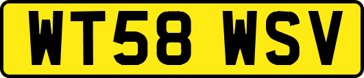 WT58WSV