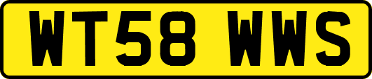 WT58WWS