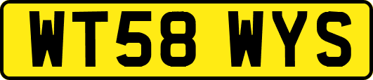 WT58WYS