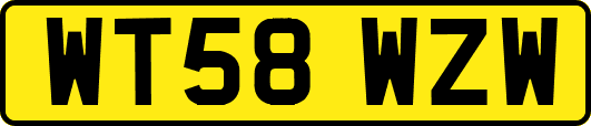 WT58WZW