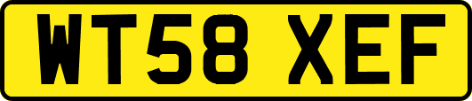 WT58XEF