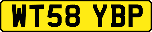 WT58YBP