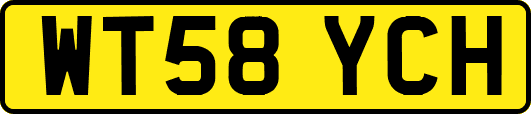 WT58YCH