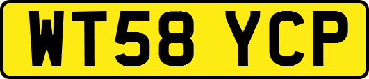 WT58YCP