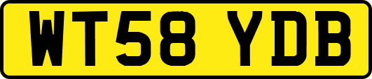 WT58YDB