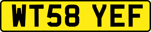 WT58YEF