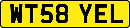 WT58YEL