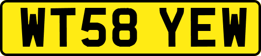 WT58YEW