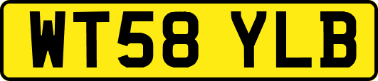 WT58YLB