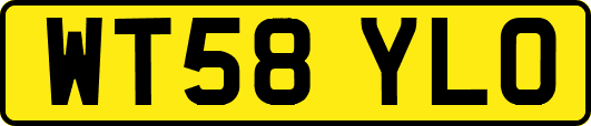 WT58YLO