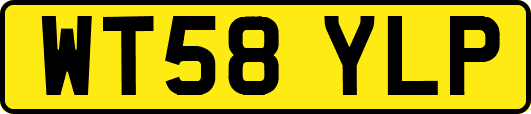 WT58YLP