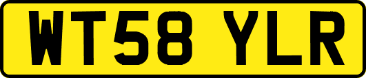 WT58YLR