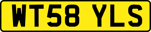 WT58YLS