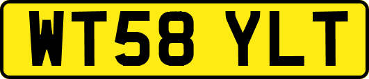 WT58YLT