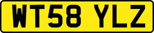 WT58YLZ