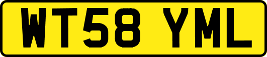 WT58YML