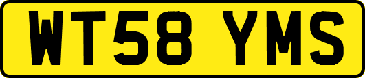 WT58YMS