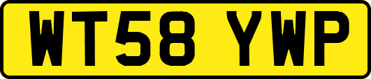 WT58YWP