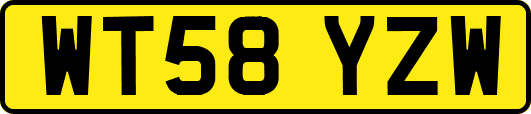 WT58YZW