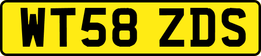 WT58ZDS