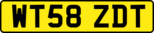 WT58ZDT