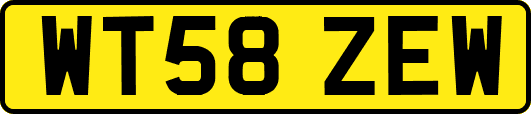 WT58ZEW