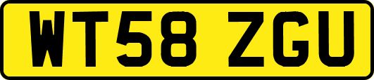 WT58ZGU