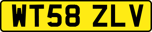 WT58ZLV