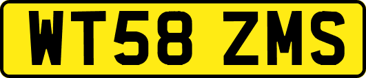 WT58ZMS