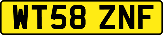 WT58ZNF