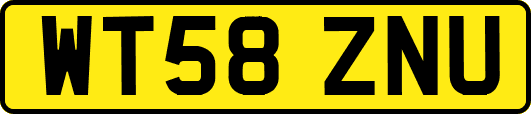 WT58ZNU