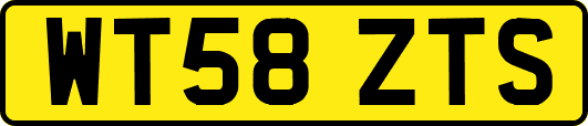 WT58ZTS