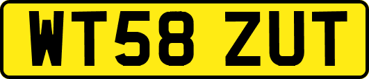 WT58ZUT
