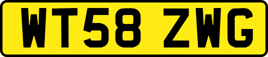 WT58ZWG