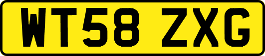 WT58ZXG