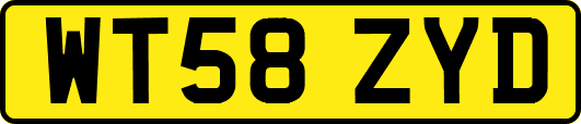 WT58ZYD