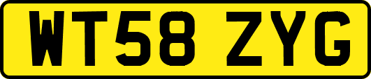 WT58ZYG