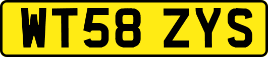 WT58ZYS
