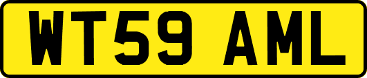 WT59AML