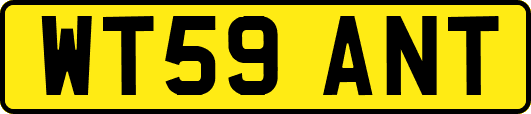 WT59ANT