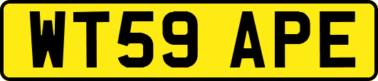 WT59APE