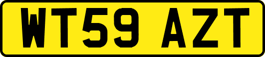 WT59AZT