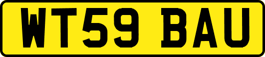 WT59BAU