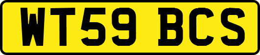 WT59BCS