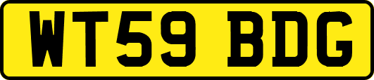 WT59BDG