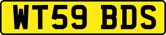 WT59BDS