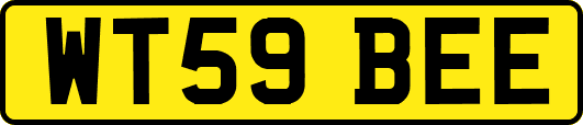 WT59BEE
