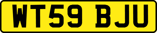WT59BJU