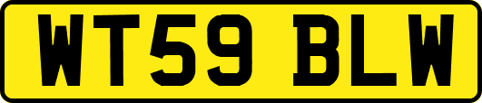 WT59BLW