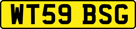 WT59BSG